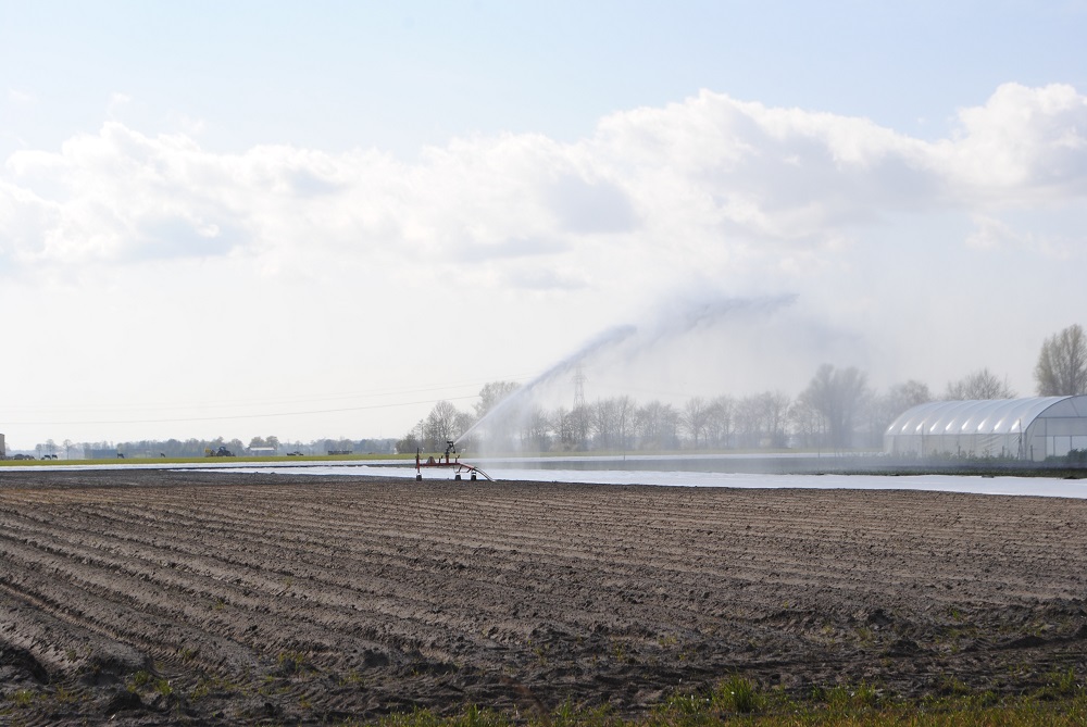 Droogte 2020 op weg om als ramp erkend te worden