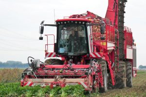 Fotoreportage: Volle bak rooien in de zware klei met Holmer T4 40