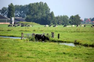 Vlaanderen brengt pachtwetgeving naar de 21e eeuw