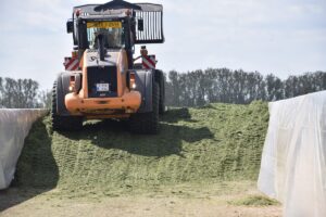 tien tips voor de ideale graskuil