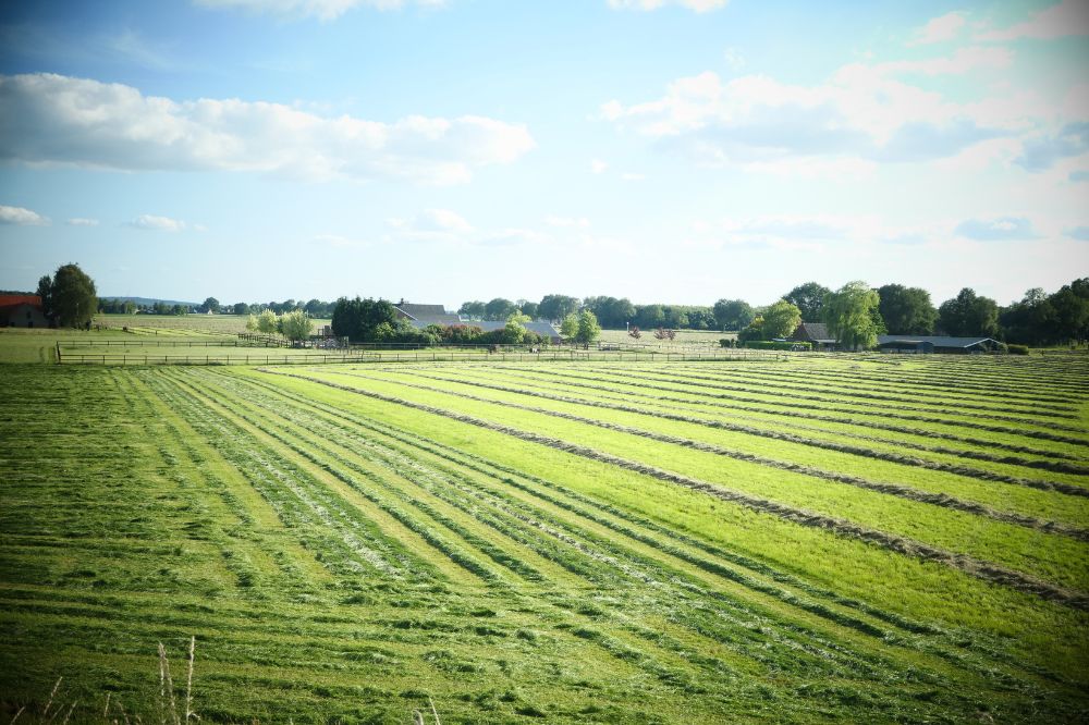 Landbouwers getroffen door stikstofakkoord dreigen in de kou te blijven