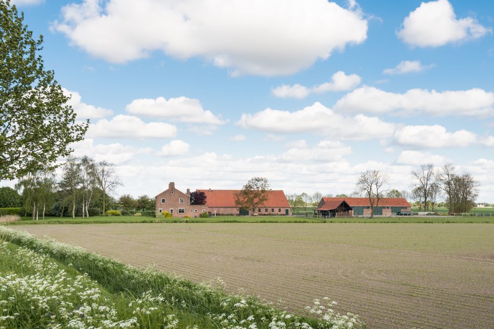 Ecoregeling verhogen koolstofgehalte via stalmest: neem foto’s als bewijsmateriaal