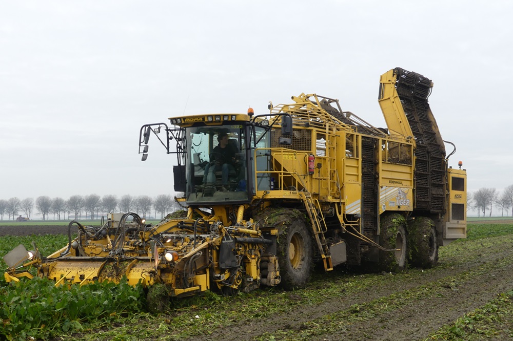 Relatief schone bieten ondanks overmatige regenval