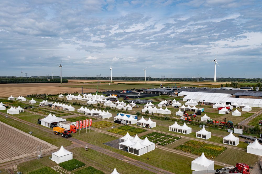 PotatoEurope 2025: Aardappelsector maakt zich op voor groot internationaal evenement