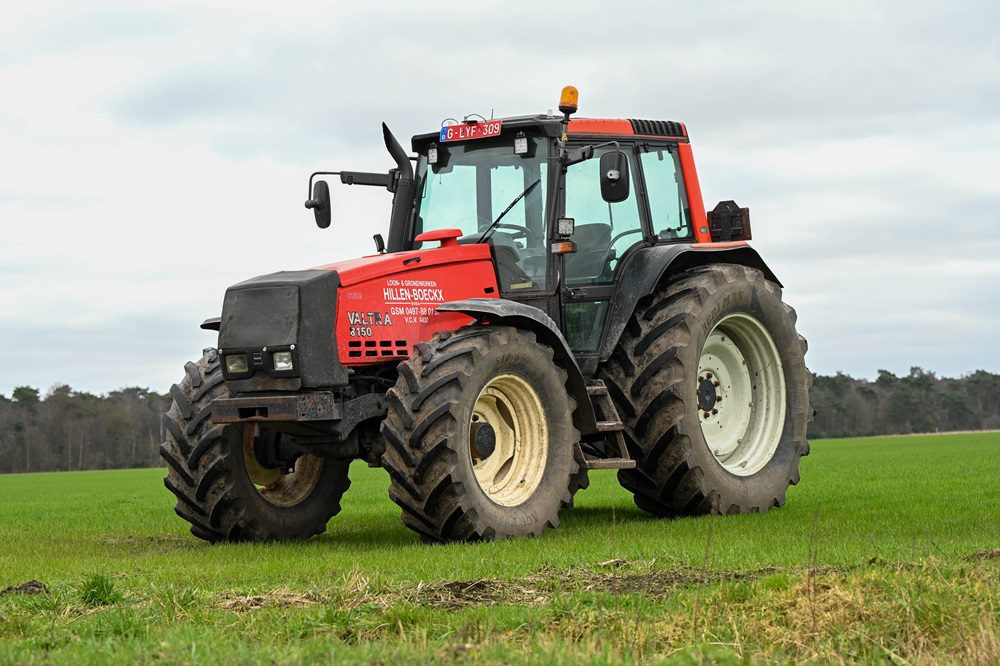 Robuuste Fin is niet te missen in Merksplas