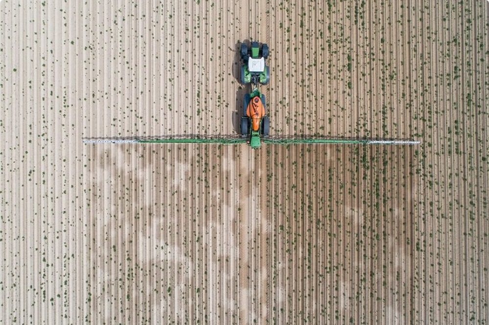 Hilaire Van der Haeghe