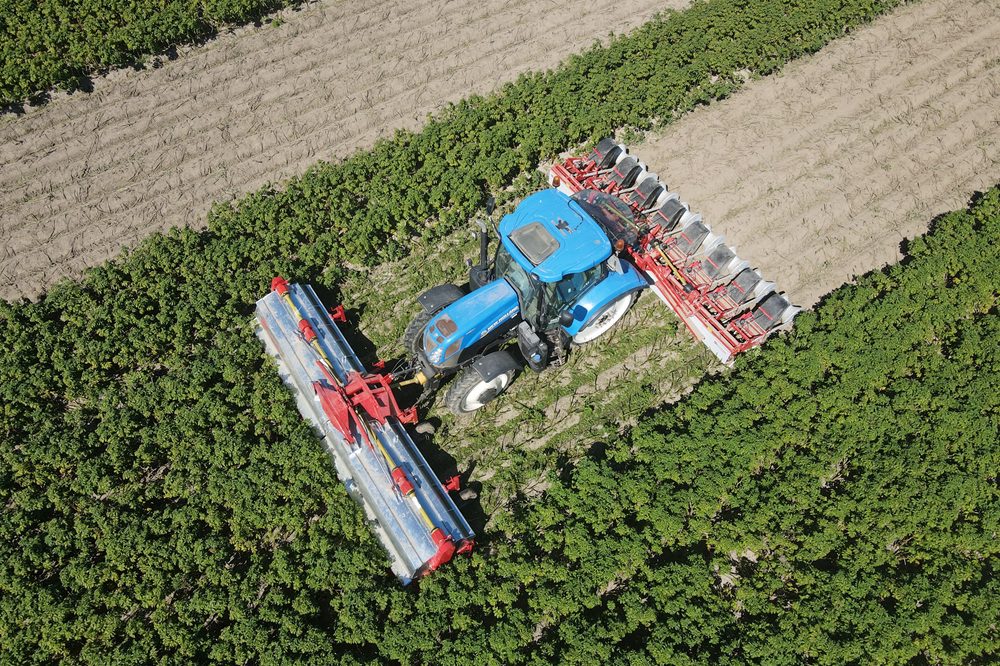 Je moet durven innoveren