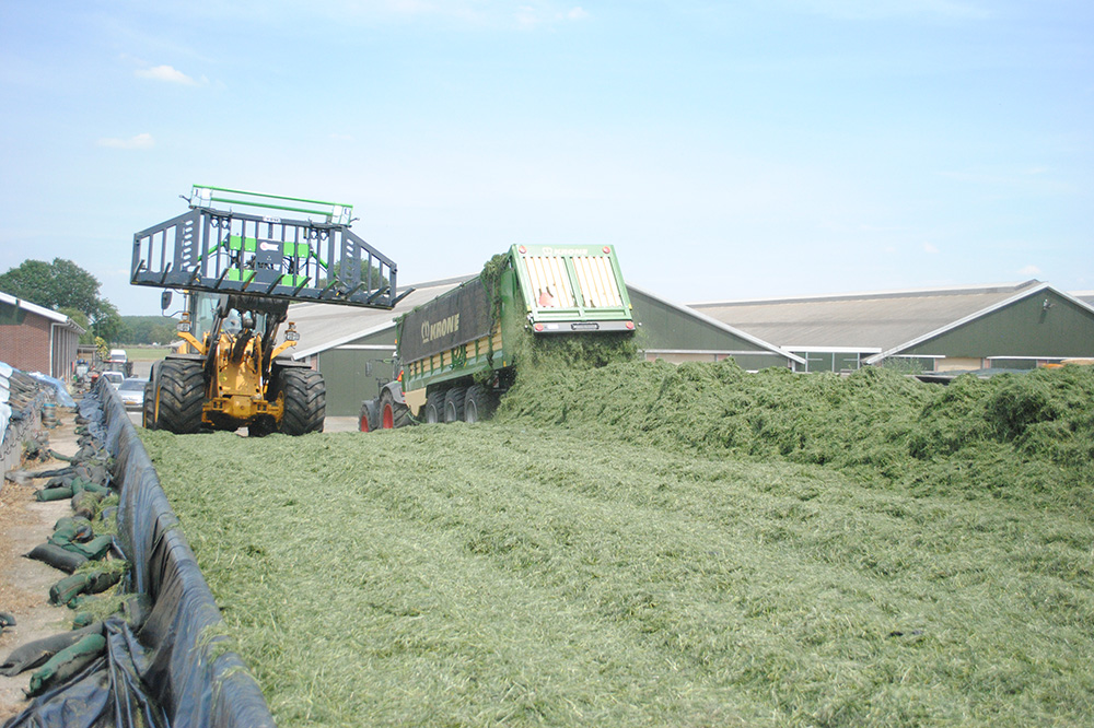 VisscherHolland introduceert inkuilmiddel Lacteolus voor gerichte beheersing van clostridiën