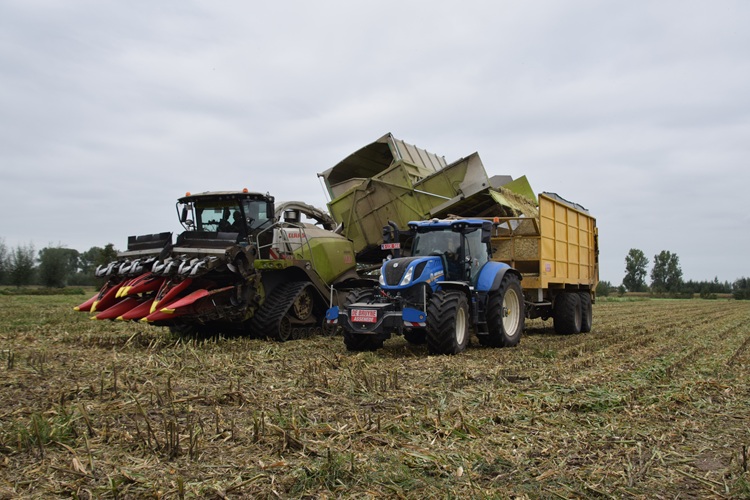 De Bruyne Agro